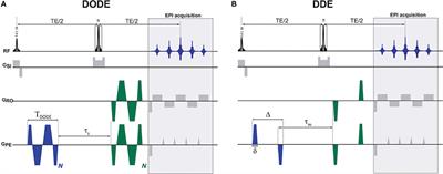 Axon Diameters and Myelin Content Modulate Microscopic Fractional Anisotropy at Short Diffusion Times in Fixed Rat Spinal Cord